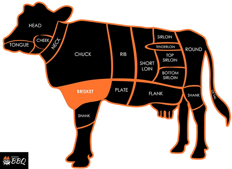 Your Pound Of Flesh: What Part Of The Cow Is Brisket?