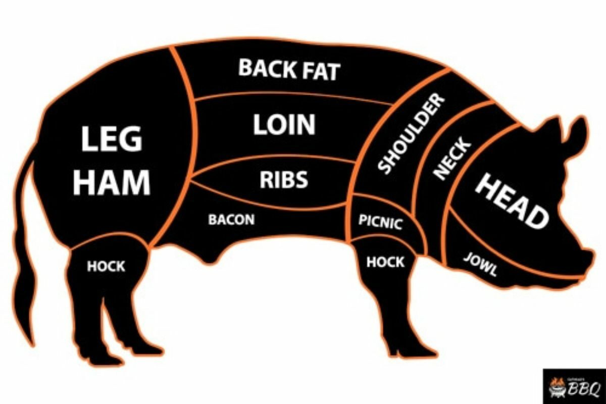 Pig Body Categorization