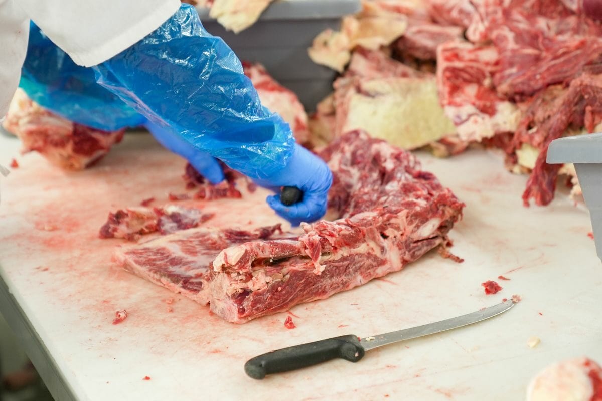 Slicing Fresh Meat