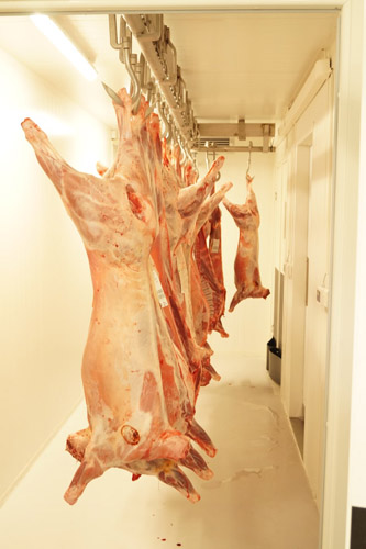 maturing meat by hanging the carcass from a hook