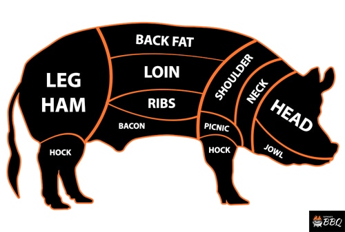 Pig Body Categorization