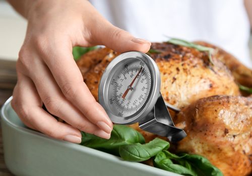 Woman Measuring Temperature of Whole Roasted Turkey with Meat Thermometer