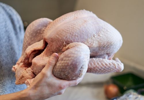 Hands Holding a Raw Turkey