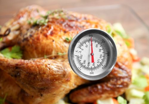 Roast Turkey with Meat Thermometer