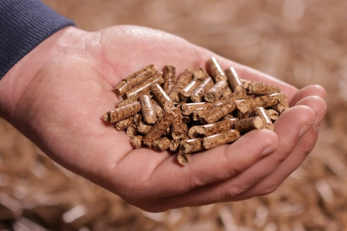 Person Holding Pile of Pellets