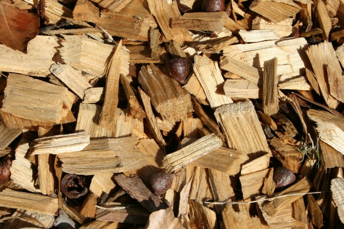 Wood Chips Mulch
