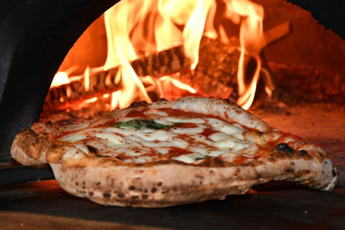 best wood for pizza oven